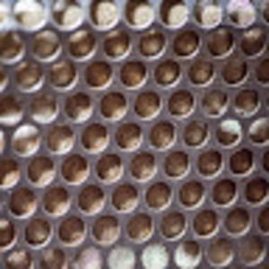 Meet your Posher, Grayson elliott